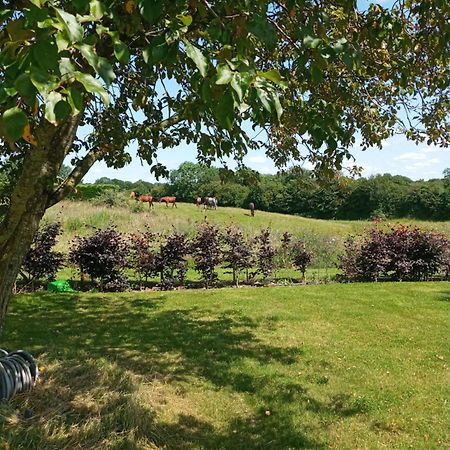 Suzies Self Catering Belmont Leilighet Belmont  Rom bilde